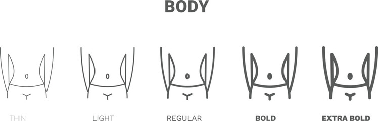 body icon. Thin, regular, bold and more style body icon from health and medical collection. Editable body symbol can be used web and mobile
