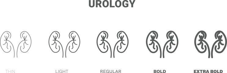 urology icon. Thin, regular, bold and more style urology icon from health and medical collection. Editable urology symbol can be used web and mobile