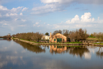 comacchio regional park delta del po lagoon city famous for its archaeological excavations and eel...