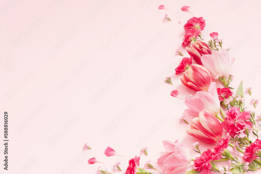 Wall mural beautiful spring flowers on pink background