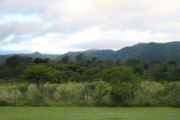 Landscape of the mountains of Córdoba, Argentina. autochthonous vegetation. Shrubs and trees with mountains in the background. Calamuchita Valley. Villa General Belgrano.