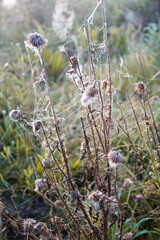 Sonnenaufgang mit Nebel