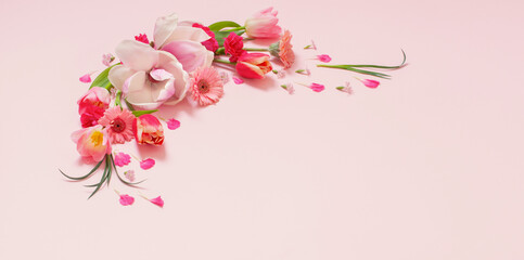 Fototapeta premium beautiful spring flowers on pink background