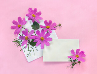 Pink flowers Cosmos bipinnatus in postal envelope with paper card note with space for text on a pink background. Top view, flat lay