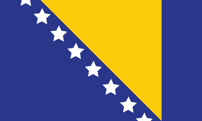 Bosnia And Herzegovina Flag Vector