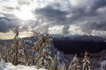 Canadian Mountain Landscape covered in Snow. Seymour Mountain, North Vancouver, British Columbia, Canada. Nature Background
