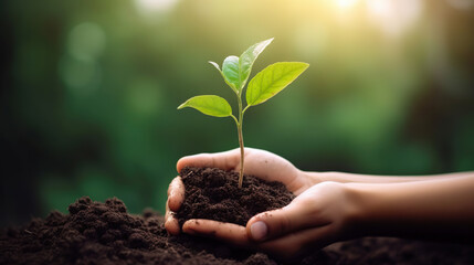 Hands holding soil with growing young plant on green nature background. Eco concept. Based on Generative AI