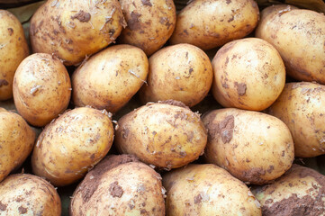 A pile of fresh potatoes for sale at a market. Closeup. Background.