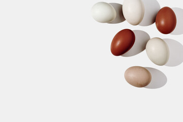 Easter eggs magenta gradient color, easter minimal trend frame, shadow at sunlight, light backdrop. Chicken egg color eggshells, holiday food Easter background, top view, aesthetic flat lay