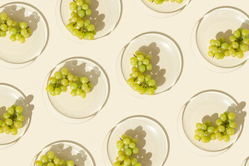Bunch white grapes on glass transparent plate with shadows at sunlight, minimal style food pattern with summer fruit on beige background, green berries of grape, top view, flat lay, food