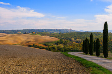 Beautiful authentic Italian tuscan landscape. Road among the fields and cypress trees in autumn....