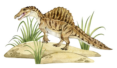 Watercolor dinosaur illustration with prehistoric landscape. Hand drawn Spinosaurus on the sand with grass. Detailed dino clipart for kids products. Children Encyclopedia of ancient animals. PNG file - 588835830
