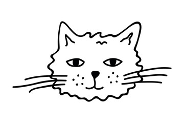 Hand drawn cat muzzle clipart. Cute pet face doodle