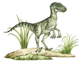 Watercolor dinosaur illustration with prehistoric landscape. Hand drawn Velociraptor on the sand with grass. Detailed dino clipart for kids products. Children Encyclopedia of ancient animals. PNG file - 588836489