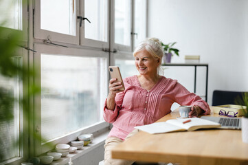Fototapeta na wymiar Smiling senior woman using smartphone 