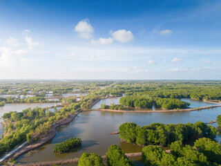 Fototapeta na wymiar Aerial view of mangrove forest and shrimp farming in Tra Vinh province, Vietnam