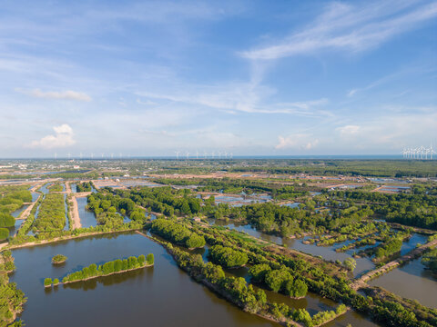Aerial view of mangrove forest and shrimp farming in Tra Vinh province, Vietnam © CravenA