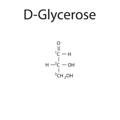 Straight chain form chemical structure of D-Glycerose sugar. Scientific vector illustration on white background, with carbon numbering.