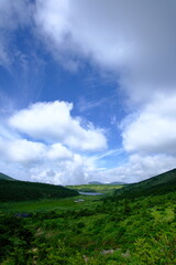 Obraz na płótnie Canvas a grassy plain of green hills and open blue sky