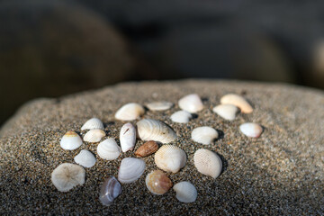 Seashells on the sand for sea summer vacation background