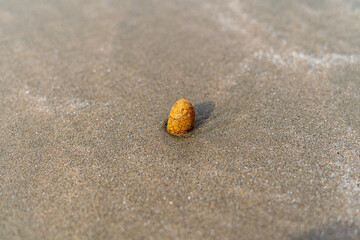 Yellow pebbles on beach sand