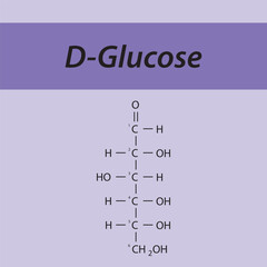 Straight chain form chemical structure of D-Glucose sugar. Scientific vector illustration on purple background, carbon numbering.