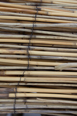 garden bamboo rustic 