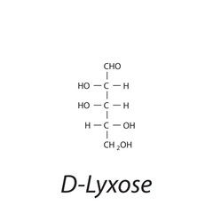 Straight chain form chemical structure of D-Lyxose sugar. Scientific vector illustration on white background.