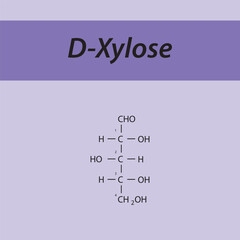 Straight chain form chemical structure of D-Xylose sugar. Scientific vector illustration on purple background, carbon numbering.