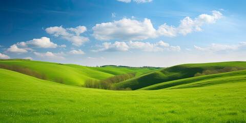 Fototapeta premium Spring landscape with green field and sky