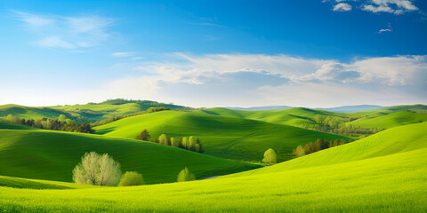 Spring landscape with green field and sky