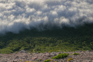 Fototapeta premium mist drifting clouds in a mountainous area, fog is over the top of a hill beside trees,