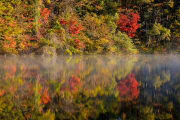 fall colors with a misty reflection on the water, in the style of red and green, panel composition...