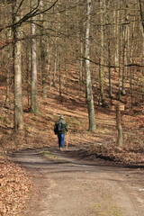 Obraz premium alter Mann geht auf einem Waldweg spazieren
