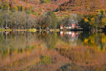 a reflection of leaves in a body of water, a reflection of trees in a watery landscape, in the style of emotive fields of color, movement and spontaneity captured, twisted branches, ultrafine detail,