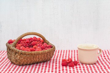 Summer gardening concept; Vintage wicker basket with ripe raspberries and cup of milk on red checkered napkin