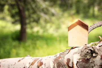 Concept image of a small house in nature. Idea of ecology, solar energy, and sustainability