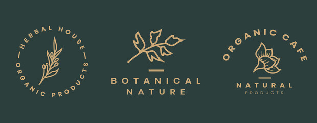 Fototapeta na wymiar Botanical Hand Drawn line symbol vector logo emblem design template illustration simple minimal linear style