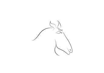 horse head sketch on white background