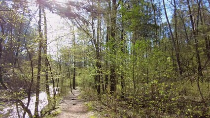 Sunny view of the landscape of Beaver River in Beavers Bend State Park