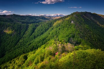 Fototapeta premium Green Mountains Photo was taken from Castle Muran in mountains Muranska planina. Green spring forest