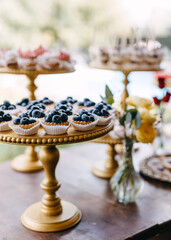 Candy bar at a party. Sweet table with blueberry cupcakes and different handmade desserts.