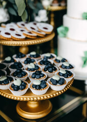 Candy bar at a party. Sweet table with blueberry cupcakes and different handmade desserts.