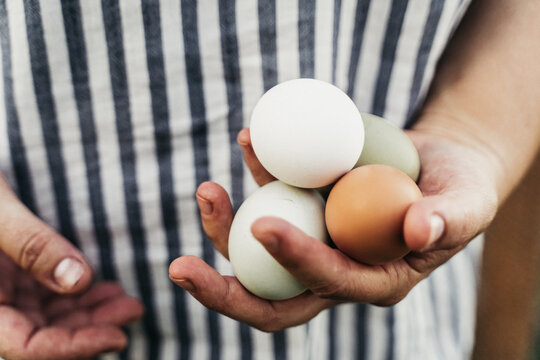 Eggs