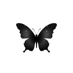 Plakat Butterfly Silhouette in black and white. Minimalistic illustration for Logo Design created using generative AI tools