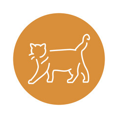 Happy cat standing color line icon. Pictogram for web page