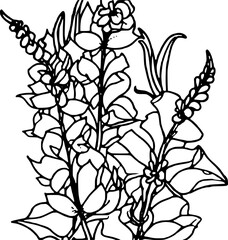 Floral coloring page flower Snapdragon 3:  A Collection of Floral Art for Stress-Relieving Coloring Activities and Adult Coloring page

