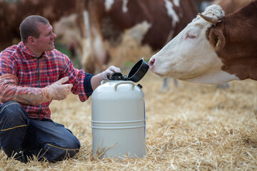Veterinarian with liquid nitrogen tank on cow farm