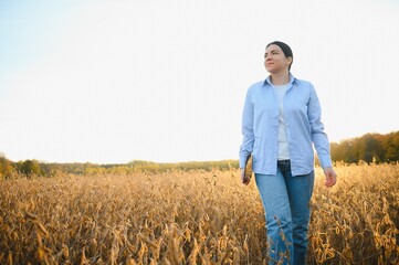 Caucasian female farm worker inspecting soy at field summer evening time somewhere in Ukraine