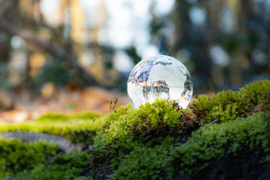 Crystal Earth globe in green nature. Nature protection and environment care concept. Earth day glass ball planet Earth over nature bokeh background. Forest environment with moss and flowers